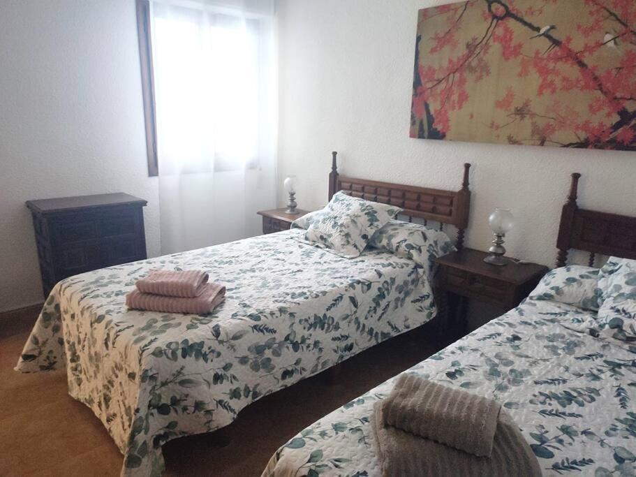 Charming & Spacious Apartment In Historic Centre & Short Walk To Beach Alicante Eksteriør bilde