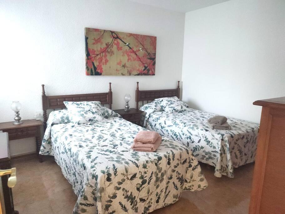 Charming & Spacious Apartment In Historic Centre & Short Walk To Beach Alicante Eksteriør bilde