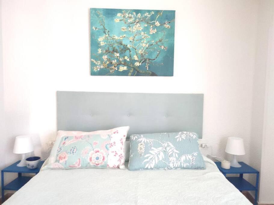 Charming & Spacious Apartment In Historic Centre & Short Walk To Beach Alicante Eksteriør bilde
