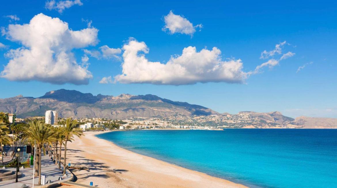 Charming & Spacious Apartment In Historic Centre & Short Walk To Beach Alicante Eksteriør bilde